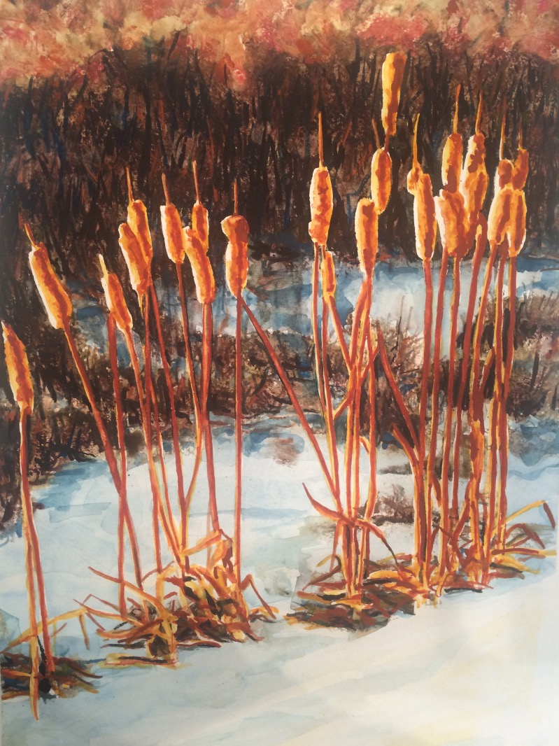 Cattails In the Snow